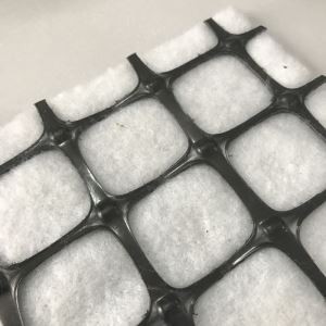 Kombinuotas geogrid su geotextile